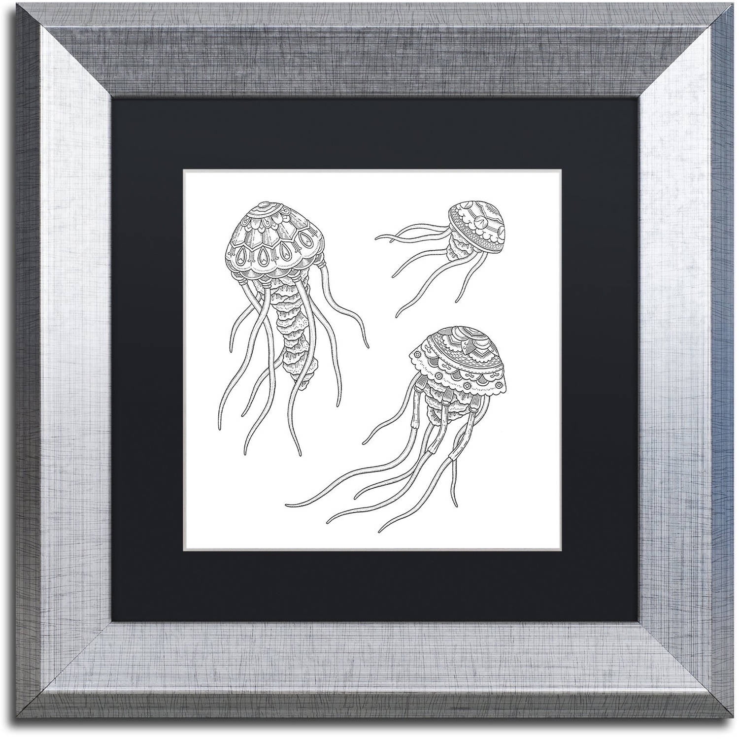 Trademark Fine Art 'Jellyfish Family' Canvas Art by Filippo Cardu Black Matte, Silver Frame