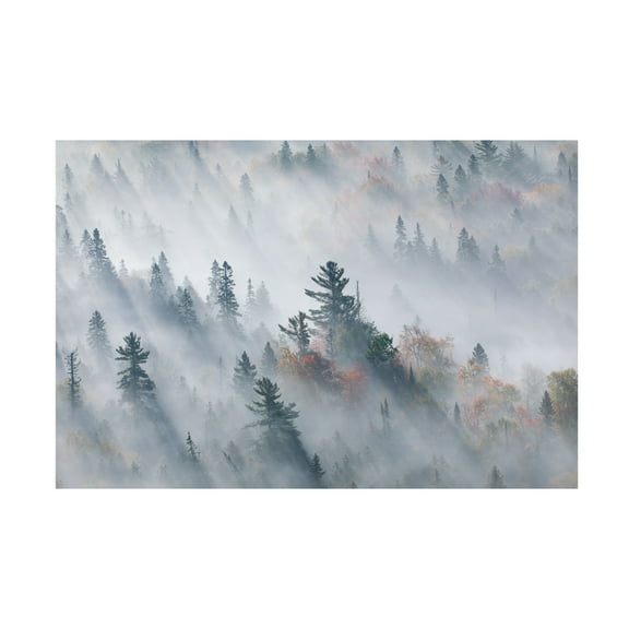 Trademark Fine Art Jennifer Zhao The Fog Of Silence, The Fog Of Illusion Canvas Wall Art