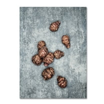 Trademark Fine Art 'Jerusalem Artichokes' Canvas Art by Johanna