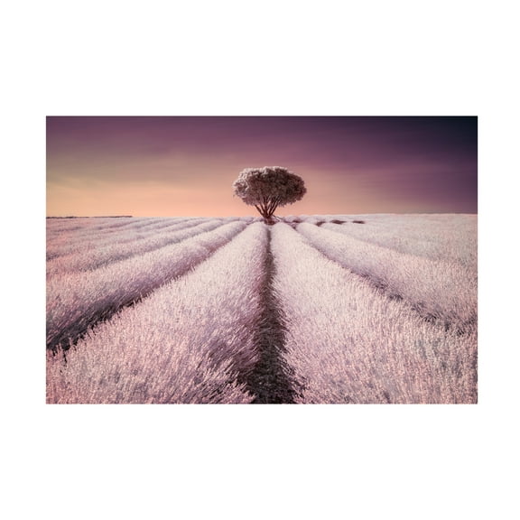 Trademark Fine Art Jesus Concepcion Alvarado El Solitario Canvas Wall Art