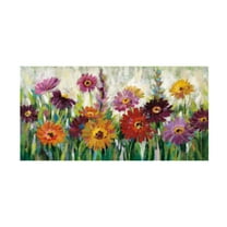 Trademark Fine Art Silvia Vassileva Jewel Daisy Gerbera Canvas Wall Art - 10x19