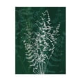 thumbnail image 1 of Trademark Fine Art 'Jewel Ferns II' Canvas Art by James Burghardt, 1 of 4