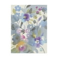 thumbnail image 1 of Trademark Fine Art 'Jewel Garden II' Canvas Art by Danhui Nai, 1 of 4