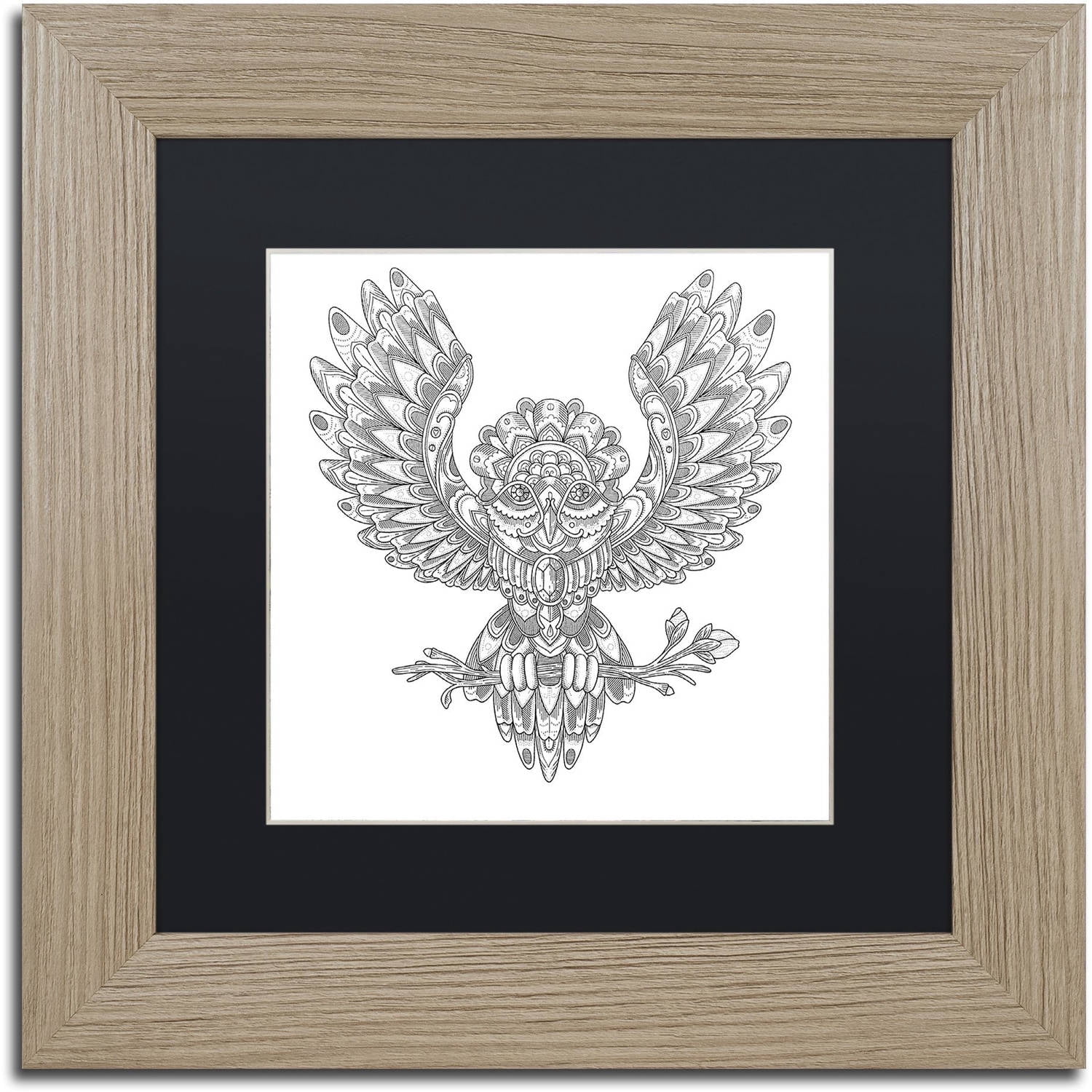 Trademark Fine Art "Jewel Owl" Canvas Art by Filippo Cardu, Black Matte, Birch Frame