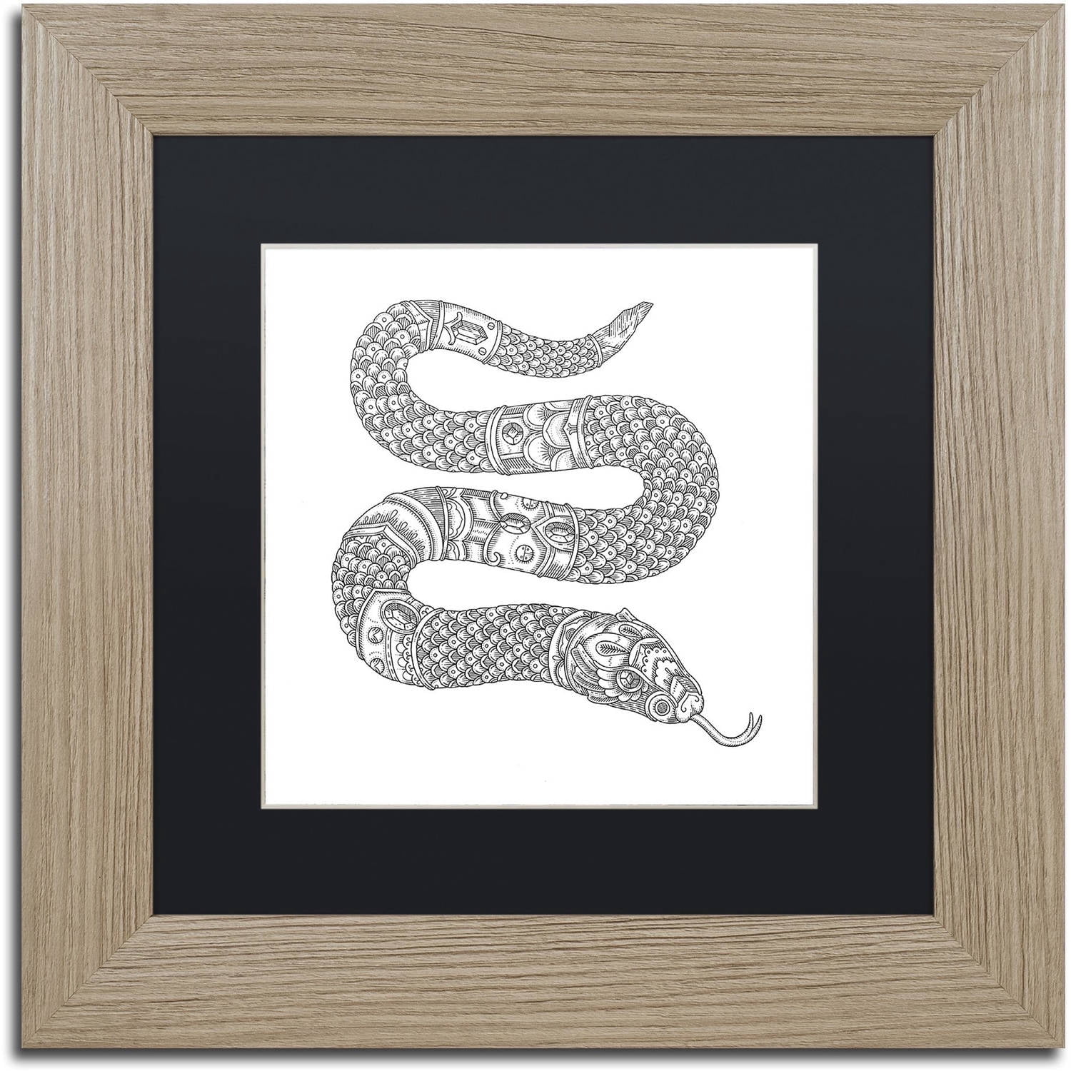 Trademark Fine Art "Jewel Snake" Canvas Art by Filippo Cardu, Black Matte, Birch Frame