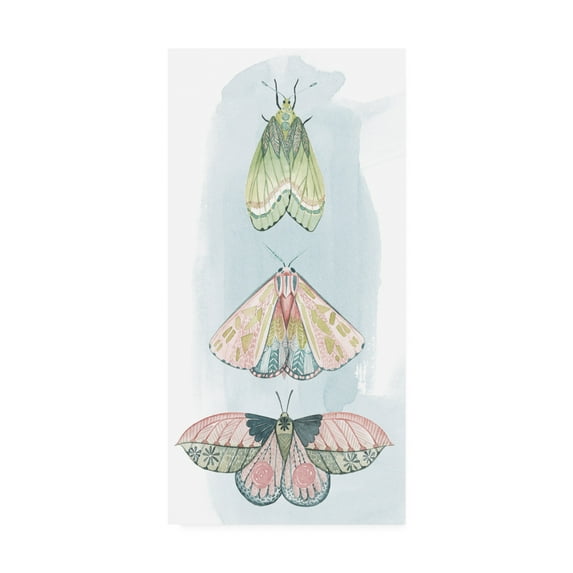 Trademark Fine Art 'Jeweled Fairies II' Canvas Art by Grace Popp