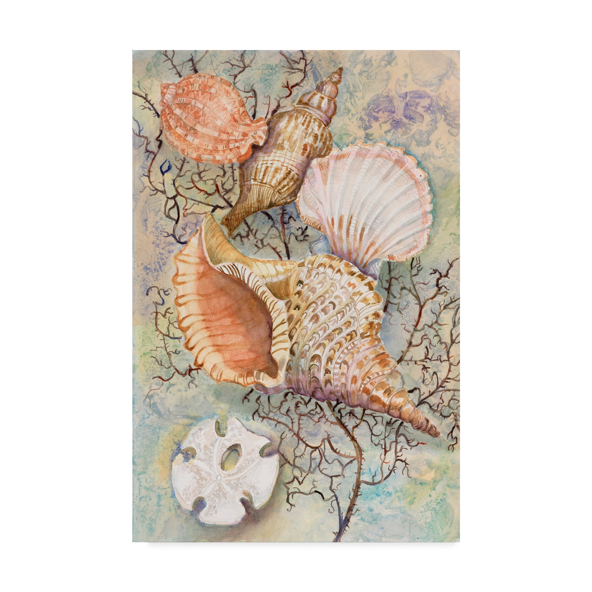 Trademark Fine Art 'Jewels Of The Sea' Canvas Art by Joanne Porter