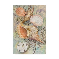 Trademark Fine Art 'Jewels Of The Sea' Canvas Art by Joanne Porter