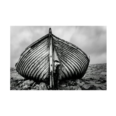 Trademark Fine Art Jie Jin Qpeekabooq Canvas Wall Art