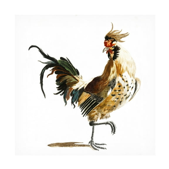 Trademark Fine Art Johan Teyler  Teyler Roosters I Canvas Wall Art