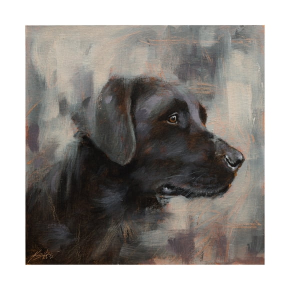 Trademark Fine Art John Silver Black Labrador Portrait Canvas Wall Art - 14x14