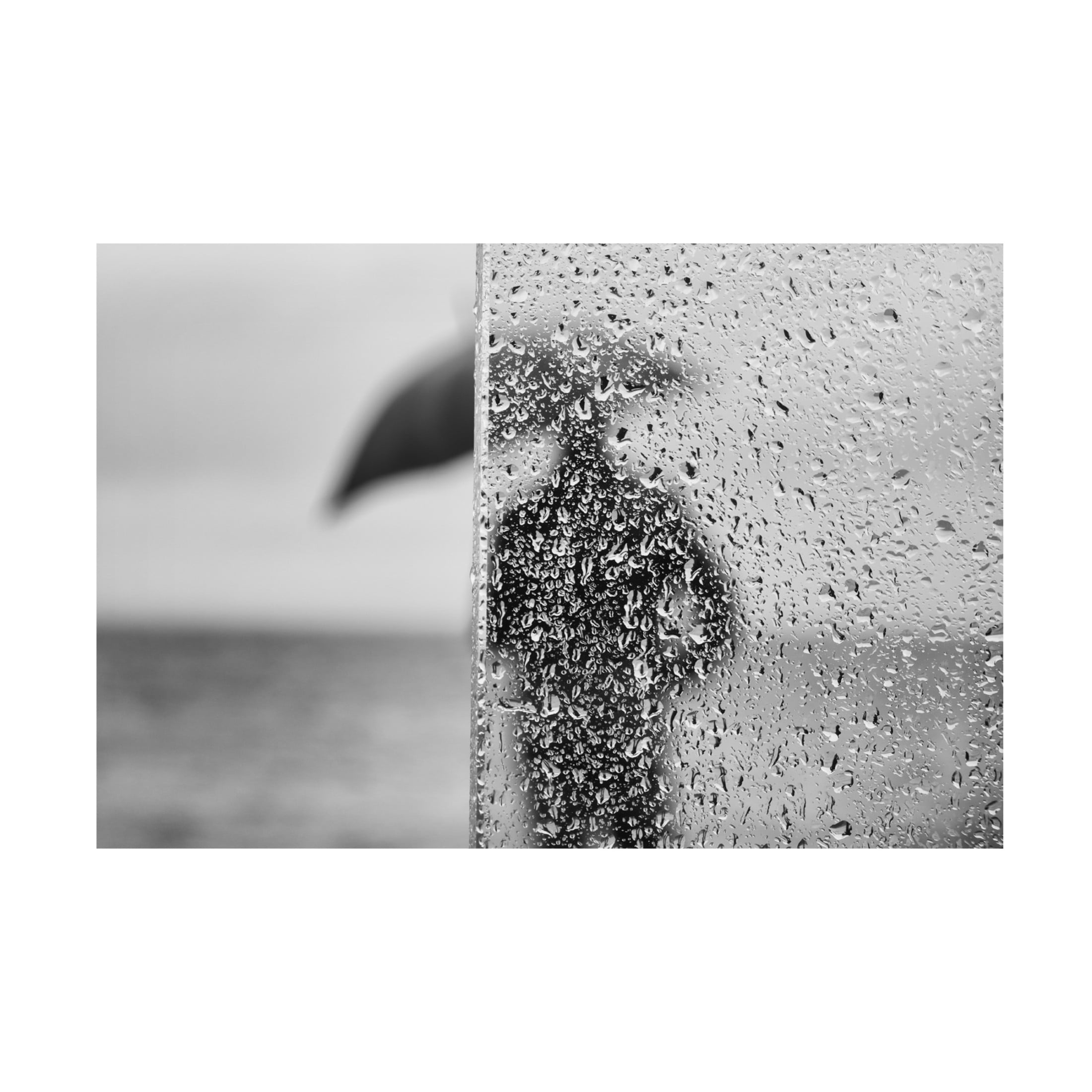 Trademark Fine Art Josefina Melo Umbrella Canvas Wall Art