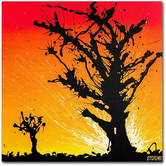 Trademark Fine Art "Joshua Sunburst" Canvas Art by Roderick Stevens