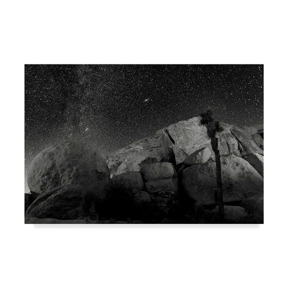 Trademark Fine Art 'Joshua Tree Sea Of Stars' Canvas Art by American School