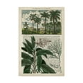 thumbnail image 1 of Trademark Fine Art 'Journal of the Tropics I' Canvas Art by Vision Studio, 1 of 4