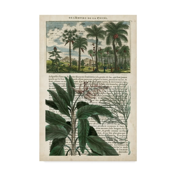 Trademark Fine Art 'Journal of the Tropics I' Canvas Art by Vision Studio
