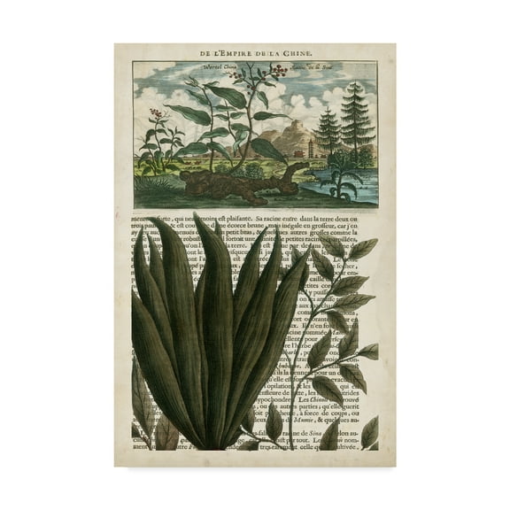 Trademark Fine Art 'Journal of the Tropics III' Canvas Art by Vision Studio