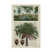 Trademark Fine Art 'Journal of the Tropics IV' Canvas Art by Vision Studio