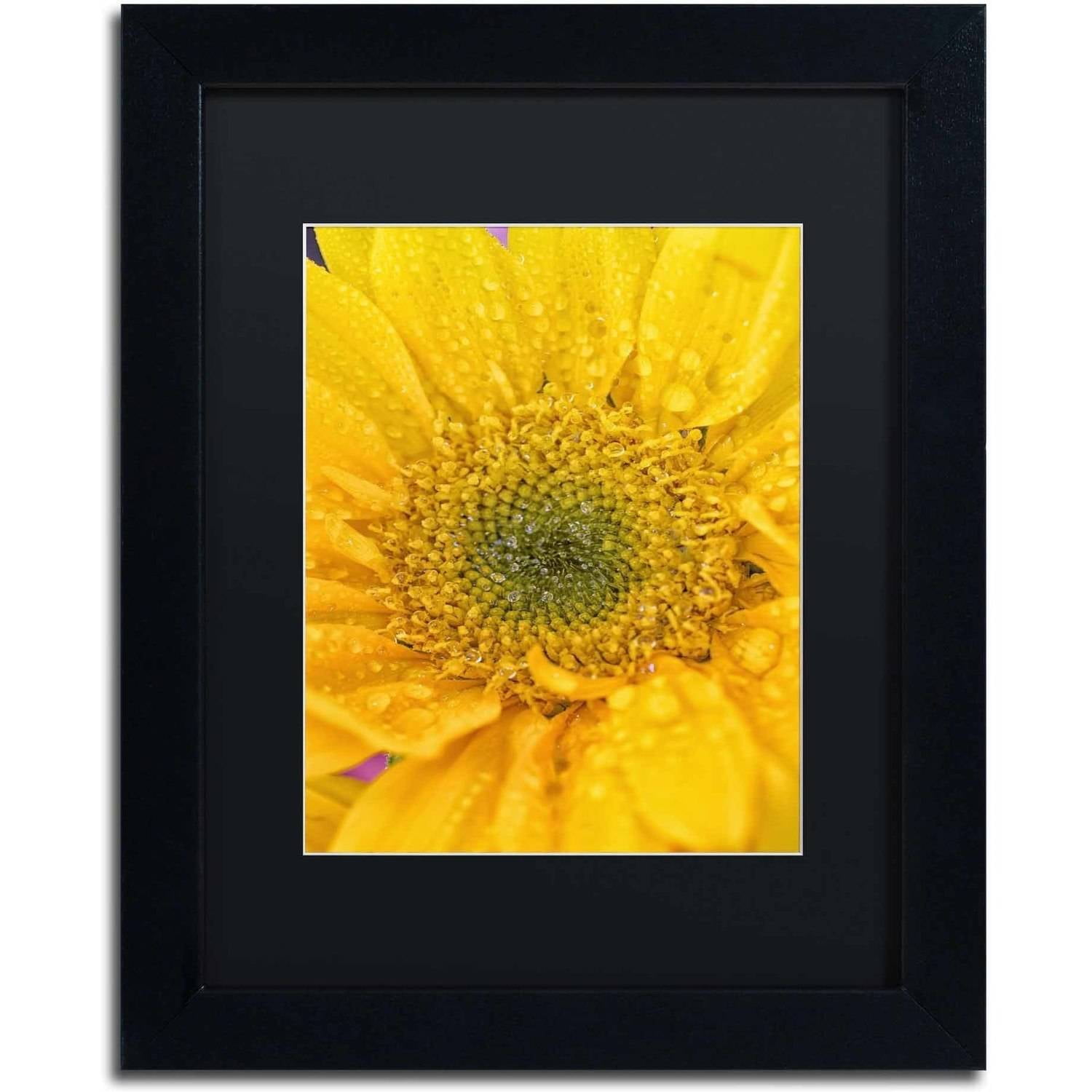 Trademark Fine Art 'Joyful Color' Canvas Art by PIPA Fine Art, Black Matte, Black Frame