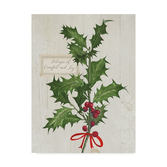 Trademark Fine Art 'Joyful Tidings VI on Wood' Canvas Art by Sue Schlabach