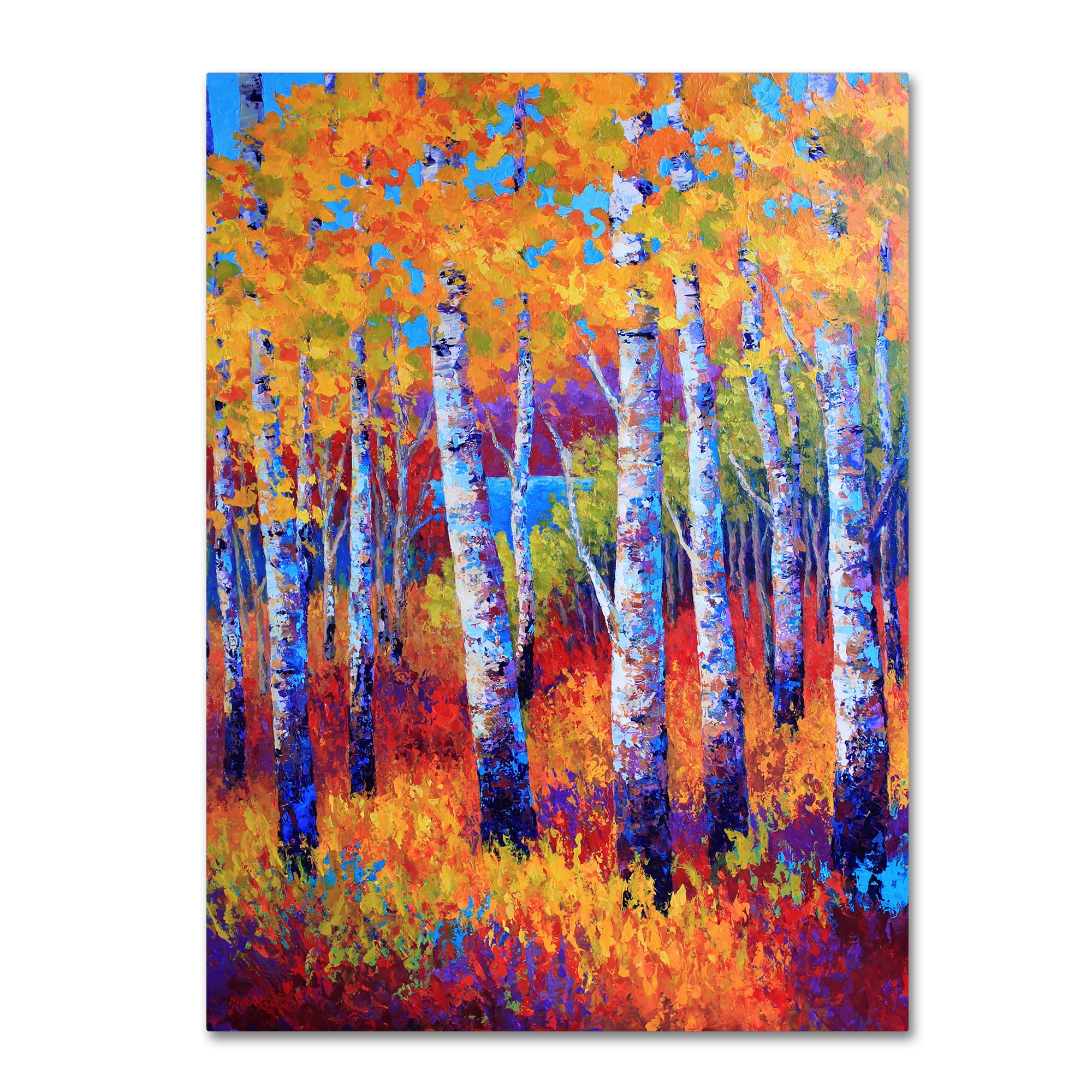 Vibrant Autumn Birch Trees Landscape Canvas Art