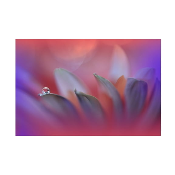 Trademark Fine Art Juliana Nan Blossoming Heart.. Canvas Wall Art