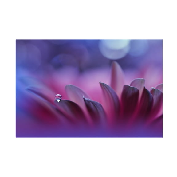Trademark Fine Art Juliana Nan Blossoming Heartii Canvas Wall Art