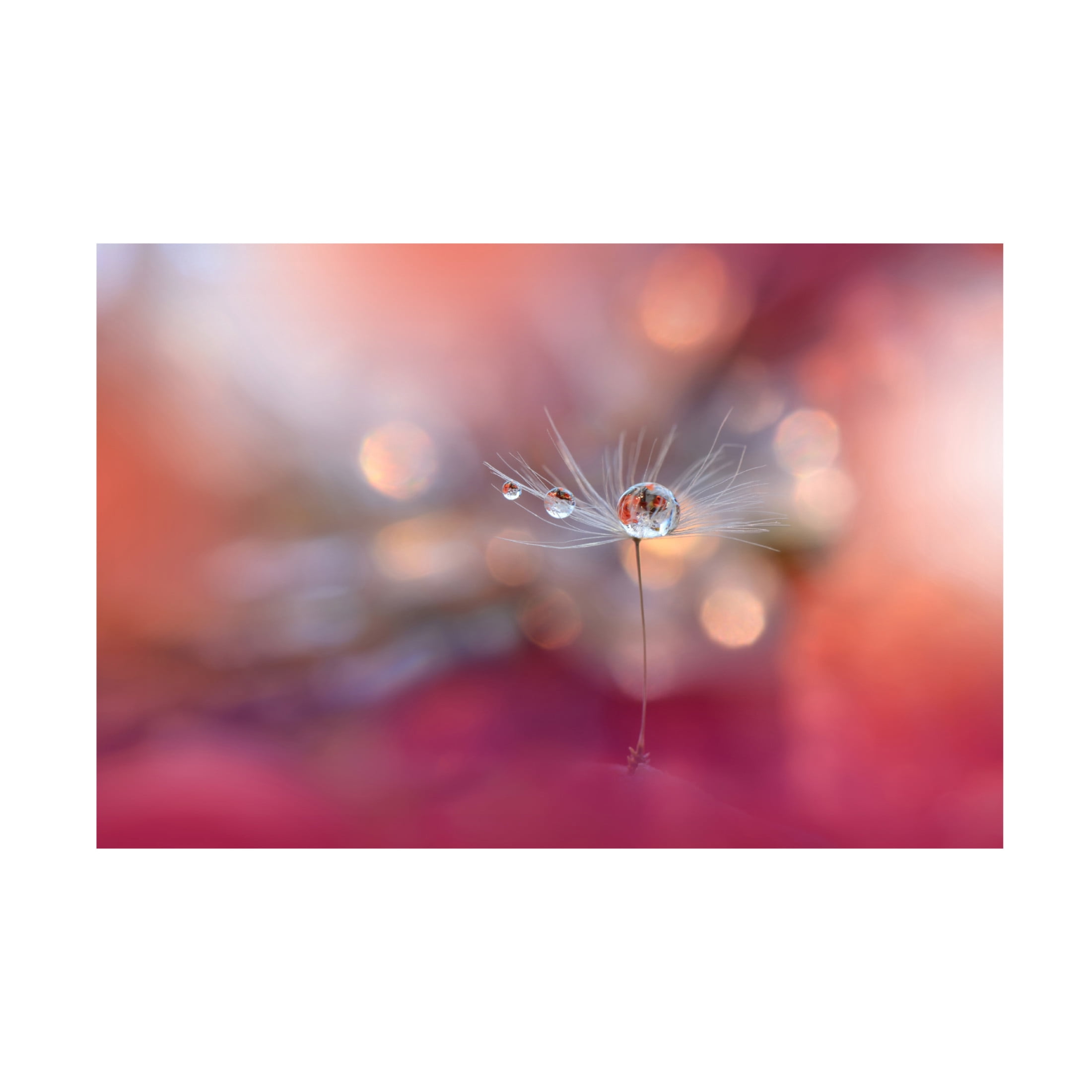 Trademark Fine Art Juliana Nan Colors of Love Canvas Wall Art