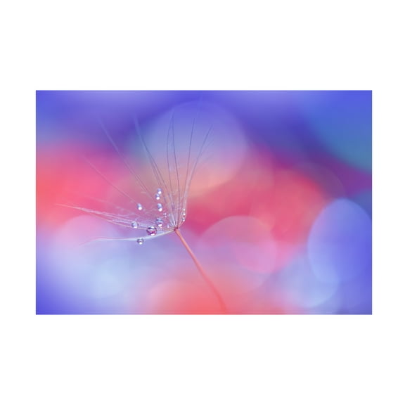Trademark Fine Art Juliana Nan Creation Of Life..Ii Canvas Wall Art
