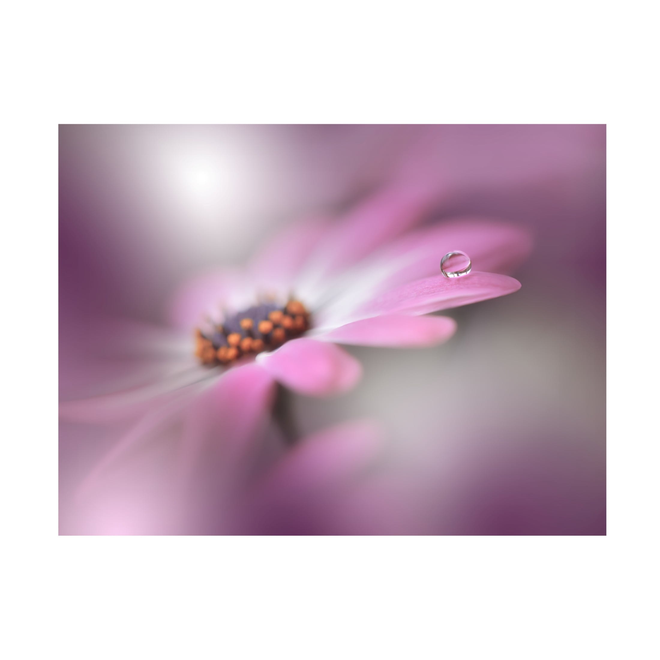 Trademark Fine Art Juliana Nan Echoes of Hope II Canvas Wall Art