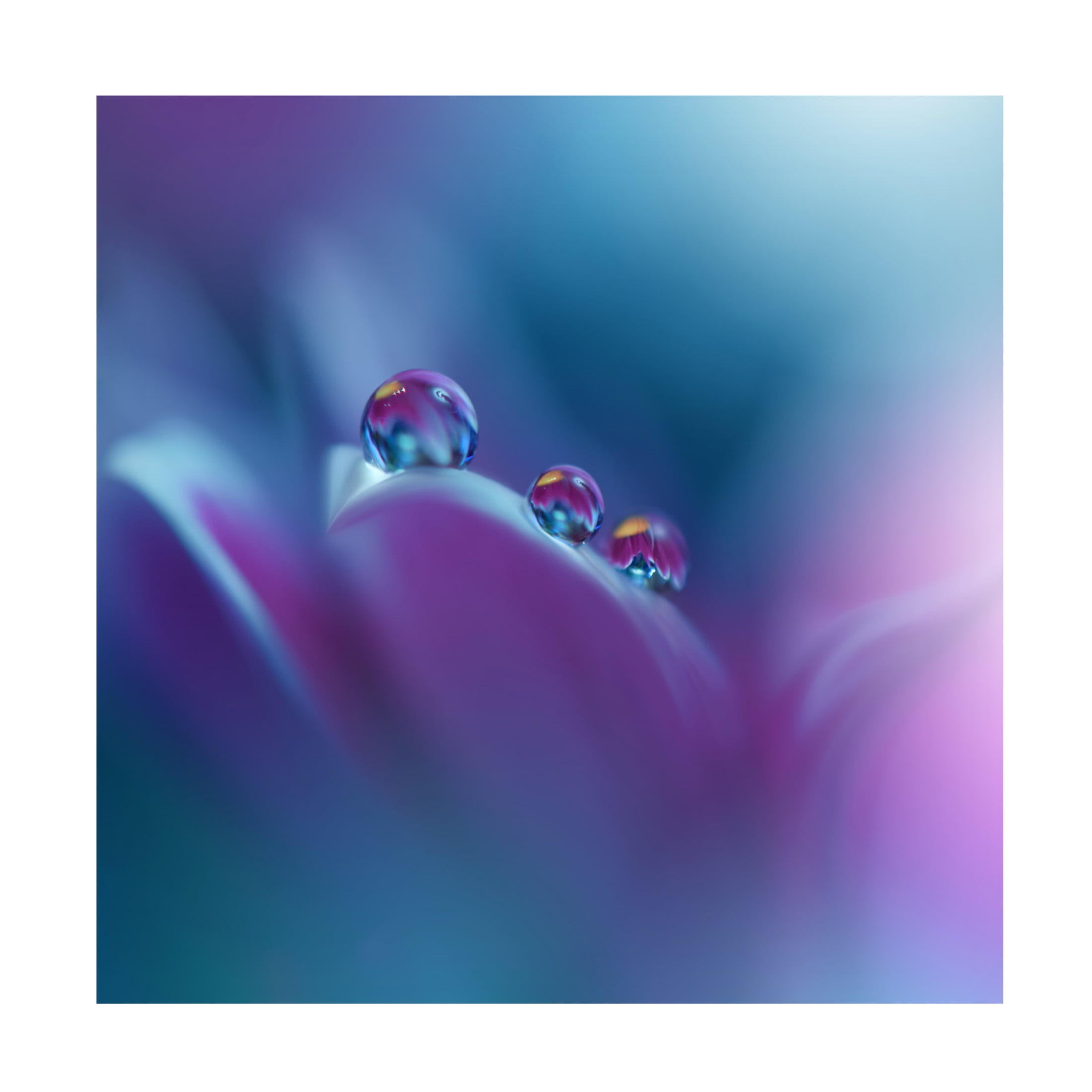 Trademark Fine Art Juliana Nan  Memories of Sea III Canvas Wall Art