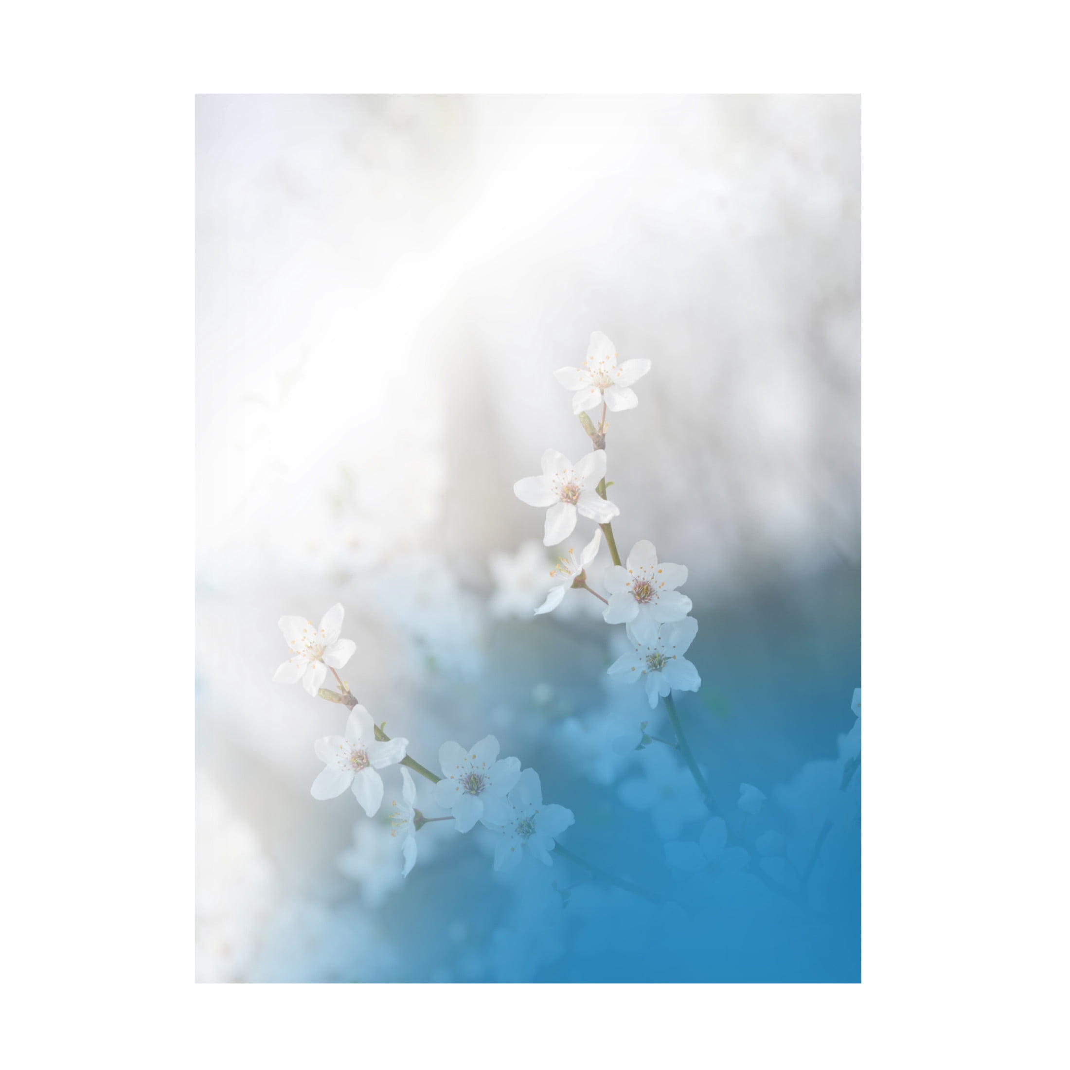 Trademark Fine Art Juliana Nan Secret Melody Canvas Wall Art