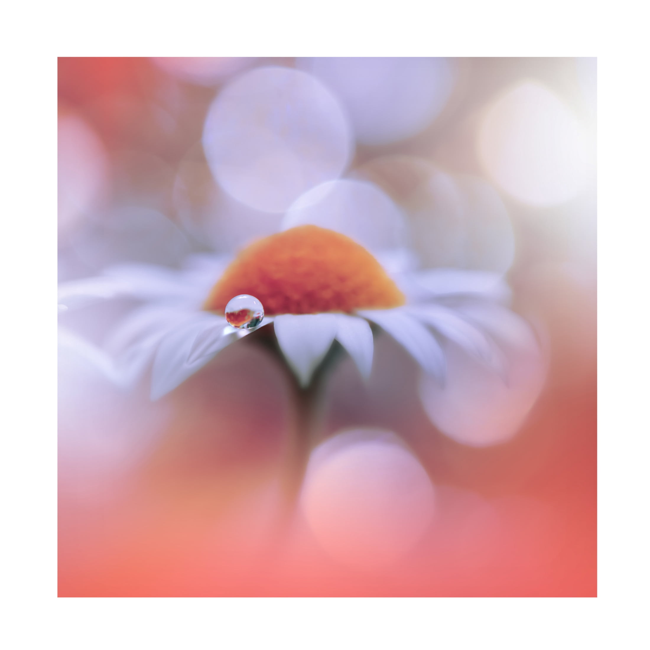 Trademark Fine Art Juliana Nan Summer Mood.. Canvas Wall Art
