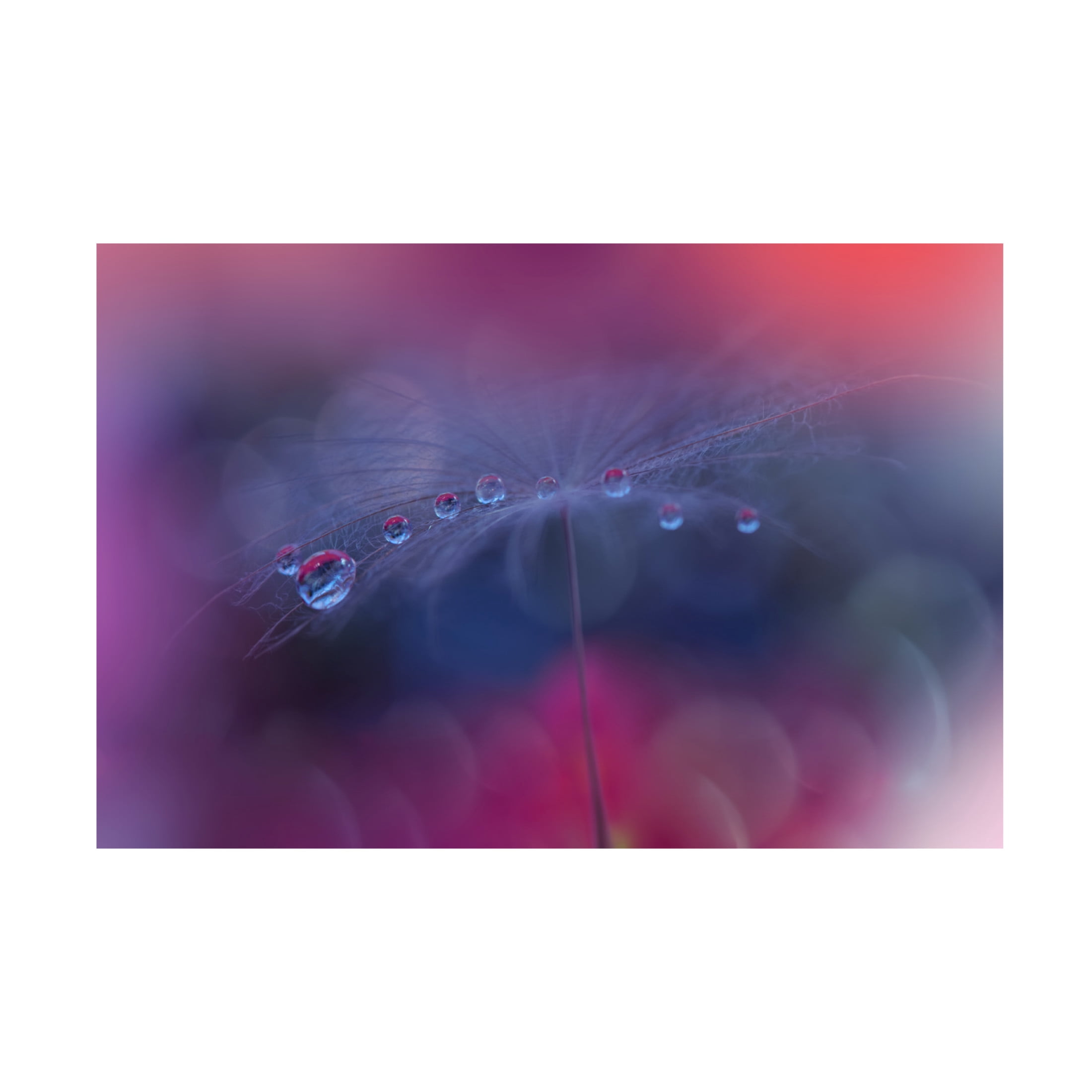 Trademark Fine Art Juliana Nan The Tears of Heaven III Canvas Wall Art
