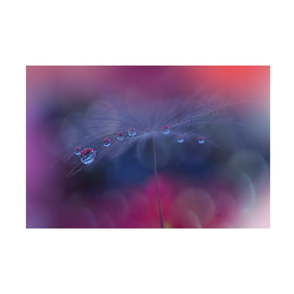 Trademark Fine Art Juliana Nan The Tears of Heaven III Canvas Wall Art