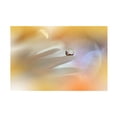 thumbnail image 1 of Trademark Fine Art Juliana Nan Timeless Tale.. Canvas Wall Art, 1 of 4