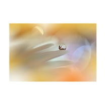 Trademark Fine Art Juliana Nan Timeless Tale.. Canvas Wall Art