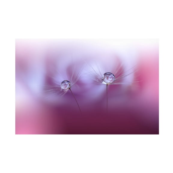 Trademark Fine Art Juliana Nan Two Worldsii Canvas Wall Art