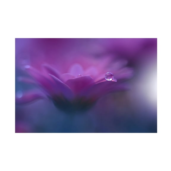 Trademark Fine Art Juliana Nan Without Form, Without Limitii Canvas Wall Art