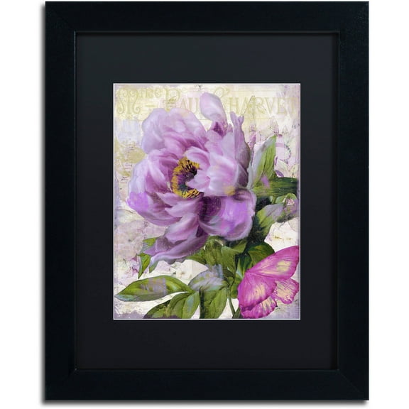 Trademark Fine Art "July" Canvas Art by Color Bakery Black Matte, Black Frame