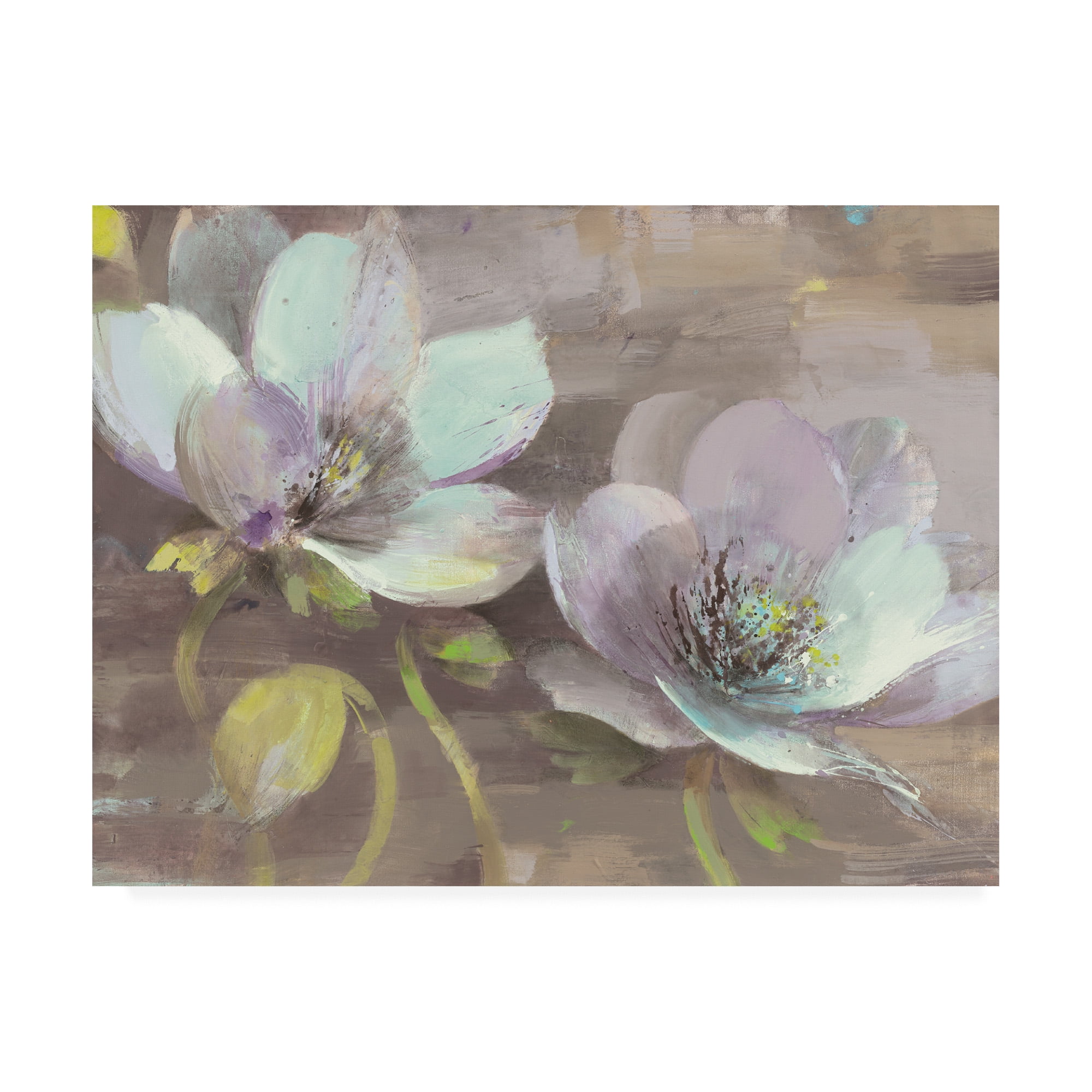 Trademark Fine Art 'Jump White Flowers' Canvas Art by Albena Hristova