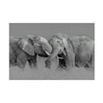 thumbnail image 1 of Trademark Fine Art Jun Zuo Elephant Flight Canvas Wall Art, 1 of 4