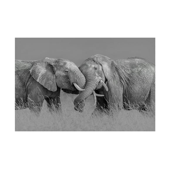 Trademark Fine Art Jun Zuo Elephant Flight Canvas Wall Art