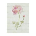 thumbnail image 1 of Trademark Fine Art 'June Blooms I' Canvas Art by Danhui Nai, 1 of 3