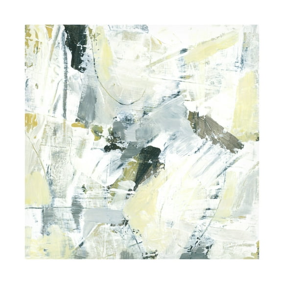 Trademark Fine Art June Erica Vess Citron Graffiti IV Canvas Wall Art