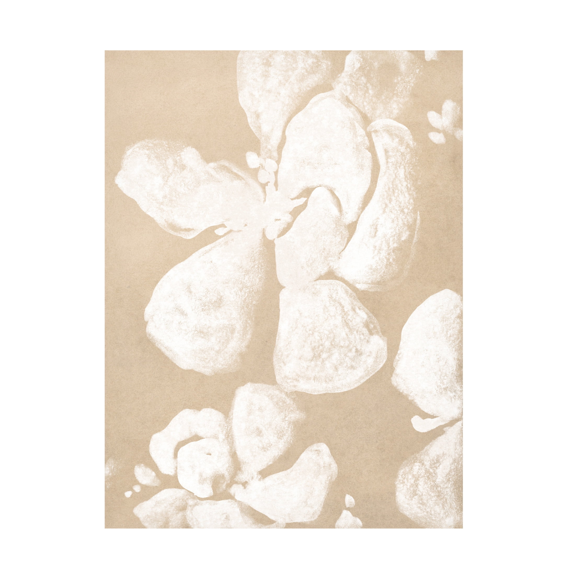 Trademark Fine Art June Erica Vess  Ghost Petal I Canvas Wall Art
