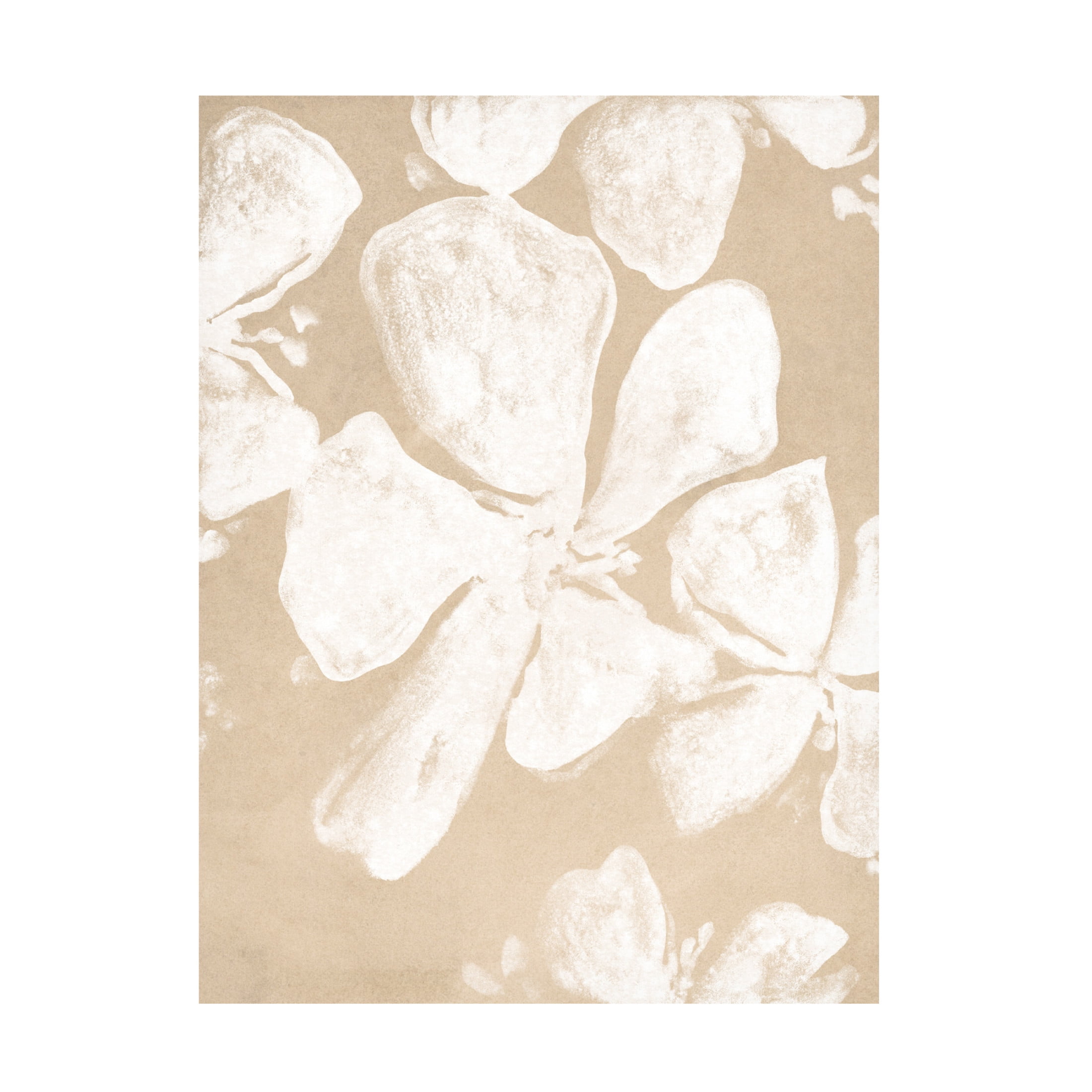 Trademark Fine Art June Erica Vess  Ghost Petal III Canvas Wall Art