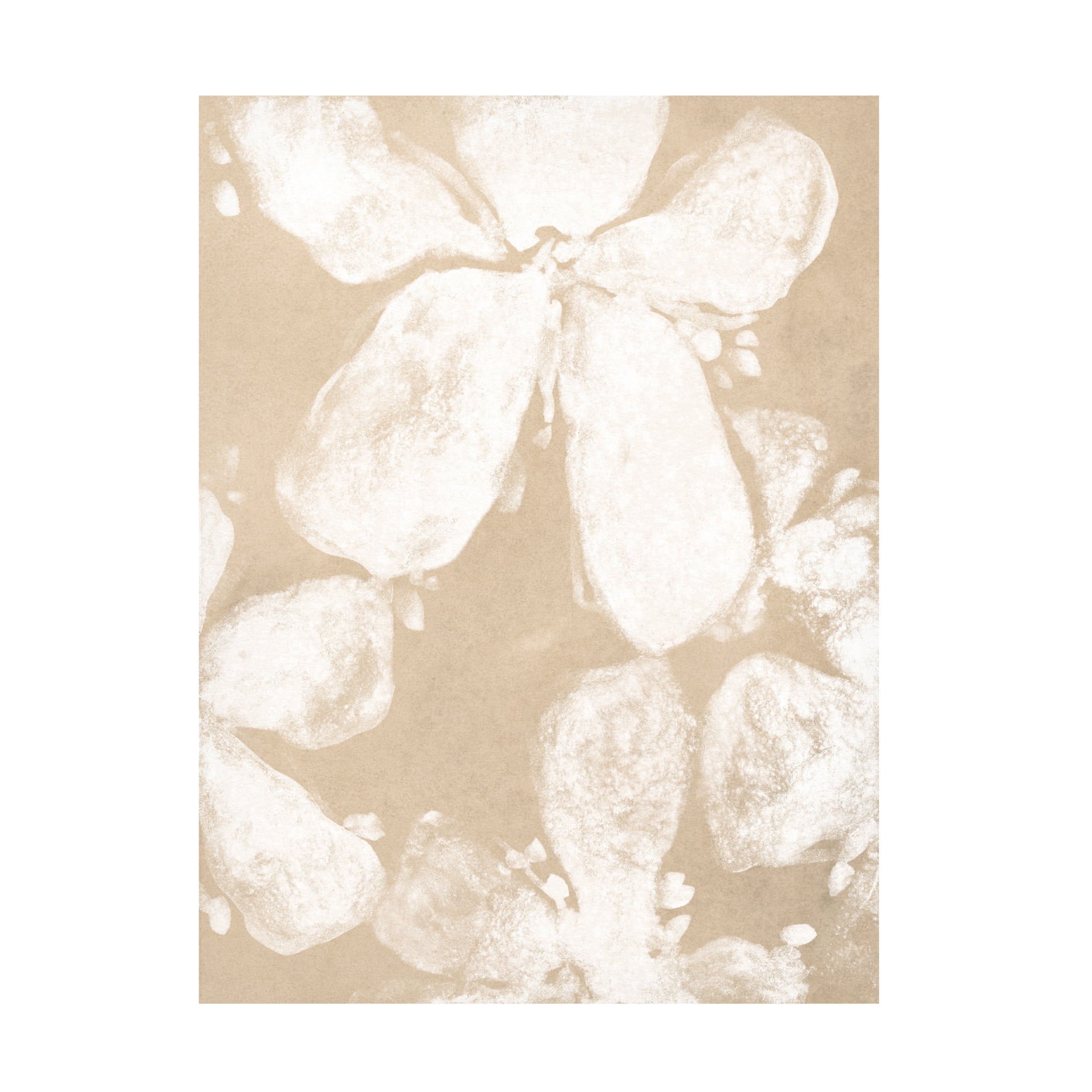 Trademark Fine Art June Erica Vess  Ghost Petal IV Canvas Wall Art