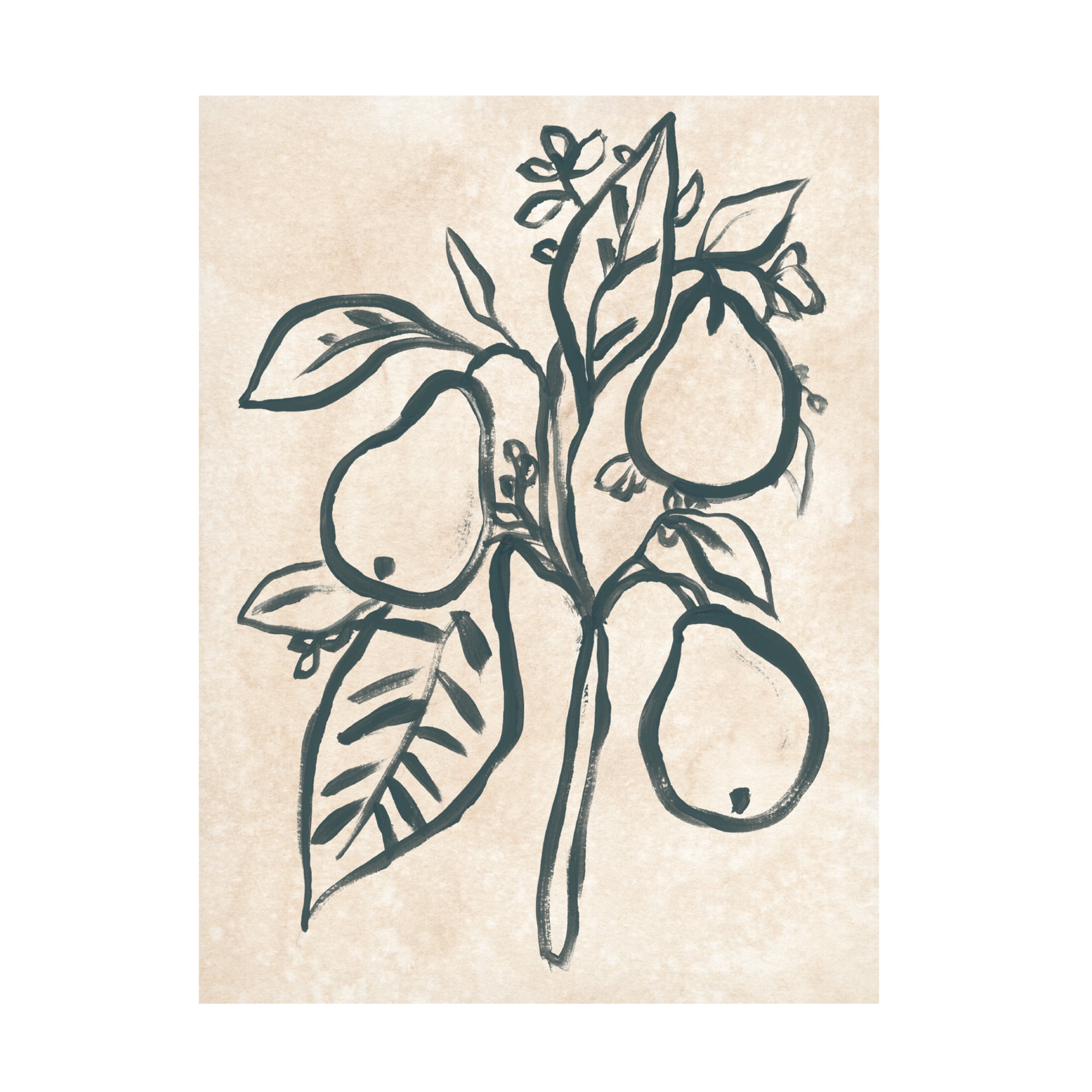 Trademark Fine Art June Erica Vess  Ink Pear Branch I Canvas Wall Art