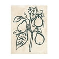 thumbnail image 1 of Trademark Fine Art June Erica Vess  Ink Pear Branch I Canvas Wall Art, 1 of 4